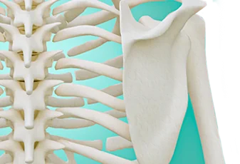 מיפוי עצמות