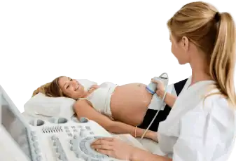 סקירת מערכות מאוחרת