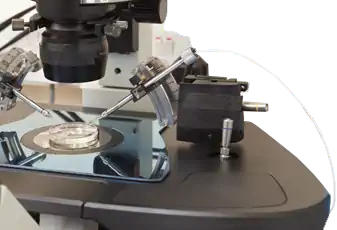 הפריה חוץ גופית - IVF